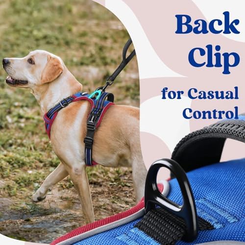 rabbitgoo Dog Harness Medium Sized, Updated Easy On & Off - Image 5