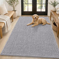 Smiry Dog Door Mat for Muddy Paws 59x35, Ultra Absorbent Chenille Doormat by Smiry