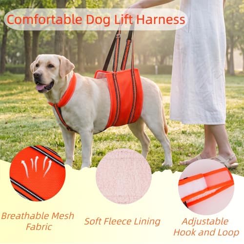 PAWsay Adjustable Dog Sling for Medium Dog Hind Leg Support - Image 3