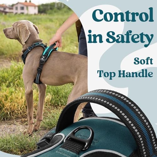 rabbitgoo Dog Harness Small Sized, Updated Easy On & Off - Image 5