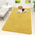 OLANLY Dog Door Mat for Muddy Paws 59x32, Super Absorbent Chenille Mud Mat by OLANLY