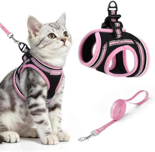rabbitgoo Cat Harness and Leash Set, Step-in Soft Vest by rabbitgoo