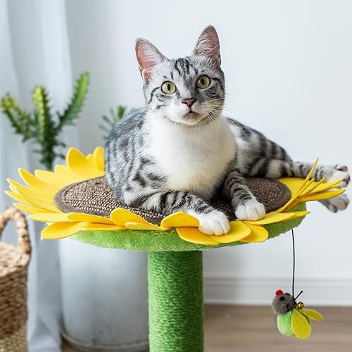 Catry Sunflower 2-in-1 Cat Scratching Post - Image 5