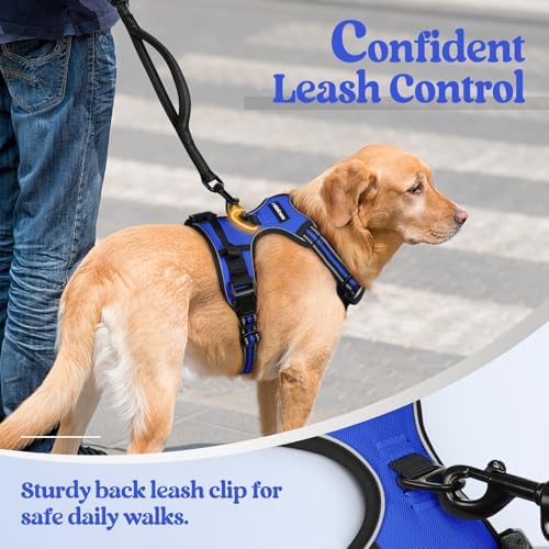 rabbitgoo Dog Harness, No Pull Medium Sized - Image 6