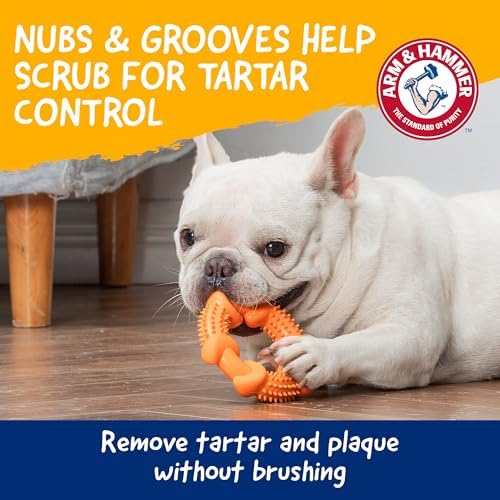 Arm & Hammer Nubbies Rubber Ring Dog Dental Chew Toy, Peanut Butter - Image 3