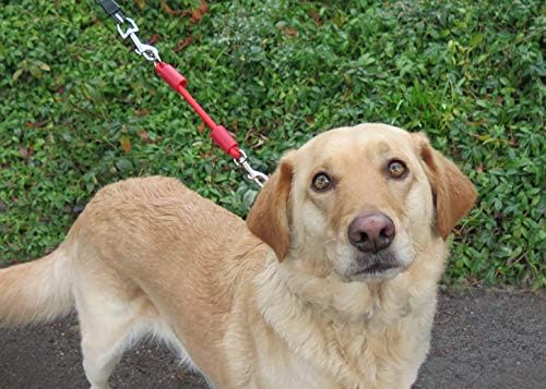 BUNGEE DOG LEASH EXTENSION – Patented Shock Absorber Attachment Protects You - Image 5
