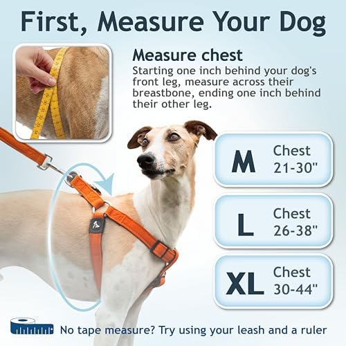 Kruz No Pull Dog Harness Heavy-Duty Pet Harness - Image 3