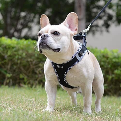 Mercano Soft Mesh Dog Harness and Leash Set, Step-in Reflective Breathable - Image 4