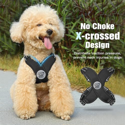 Pawaboo Small Dog Harness and Leash Set, Puppy Harness X-Frame Adjustable - Image 3
