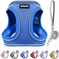 Solmoony Sparkly XS Dog Harness and Leash Set, Step in Soft Light Puppy Vest by SOLMOONY