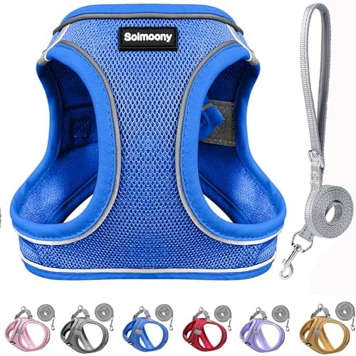 Solmoony Sparkly XXXS Dog Harness and Leash Set, Step in Soft Light Puppy Vest by SOLMOONY