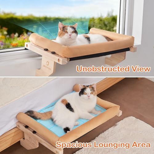 Cat Window Perch + Bonus Toy by Petronaut – Solid Wood, Durable & Easy-Clean - Image 6