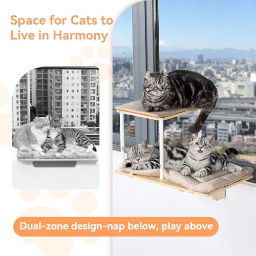 PETSFIT Cat Window Perch, Dual-Level, Suction Cups & Wood Base, Large Cats - Image 6