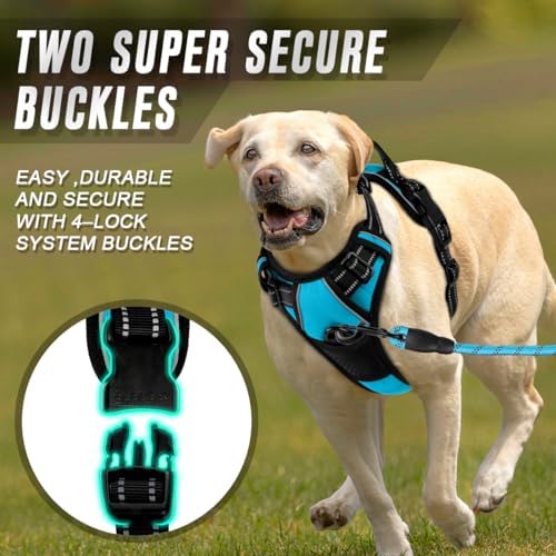BARKBAY Dog Harness No Pull for Small Sized Dog Front Back Clips, Dog Vest - Image 4