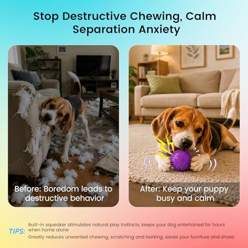 2.5" Squeaky Spiky Dog Balls, 6 Pack Teething Chew Toys - Image 4