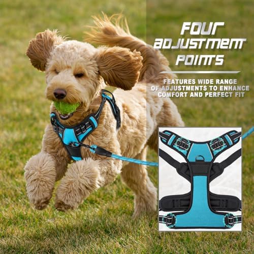 BARKBAY Dog Harness No Pull for Small Sized Dog Front Back Clips, Dog Vest - Image 6