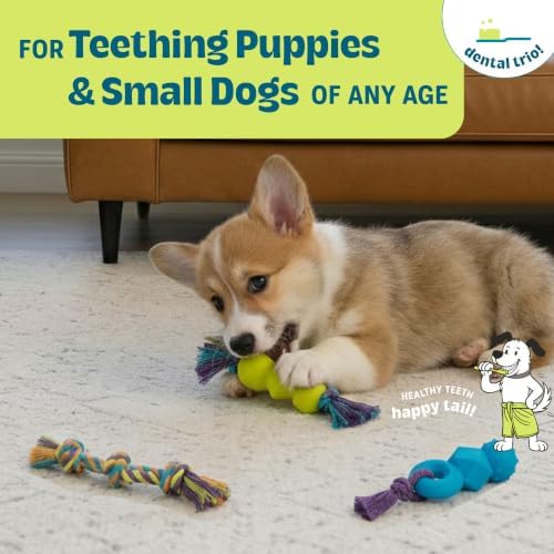 Mini Dentachew Dental Dog Chew Toys - Image 4