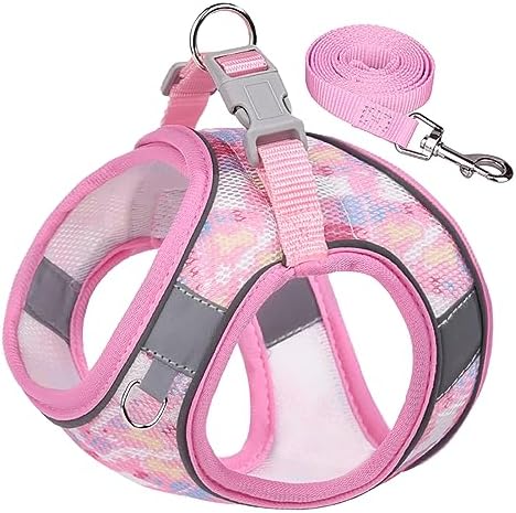 Step in Mesh Dog Harness and Leash Set - Image 2