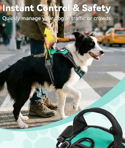 Joytale No Pull Dog Harness for Large Dogs, Front Clip - Image 3