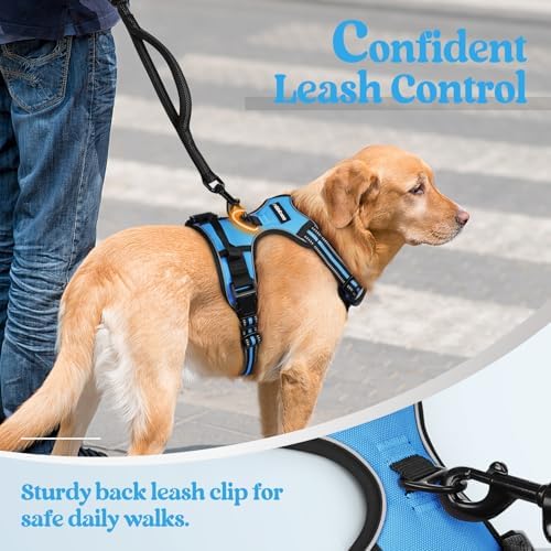 rabbitgoo Dog Harness, No Pull for Large Dogs - Image 6