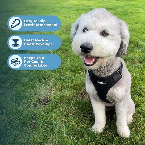 Voyager Step-in Lock Dog Harness - Image 3