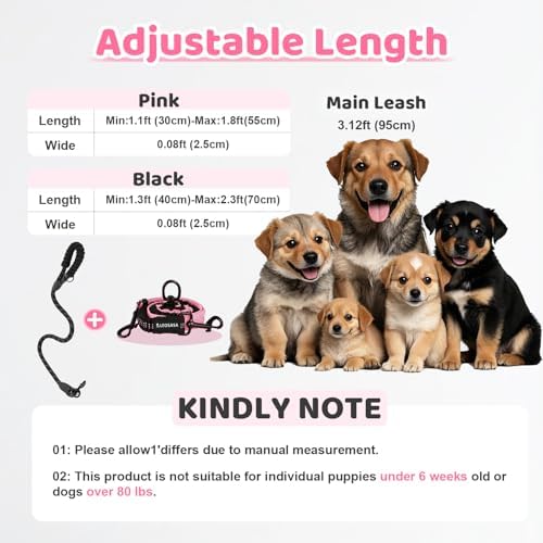 Double Dog Leash - Image 2