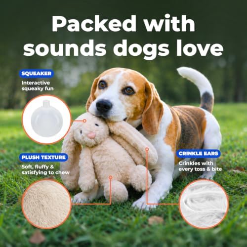 Best Pet Supplies Bunny Buddy Squeaky Plush Dog Toy - Image 3