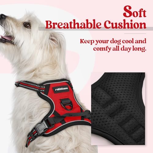 rabbitgoo Dog Harness, No Pull for Small Dogs - Image 2