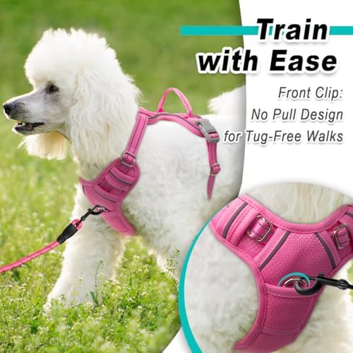 BARKBAY Dog Harness for Small Sized Dog No Pull Mesh 2 Clips Dog Vest - Image 2