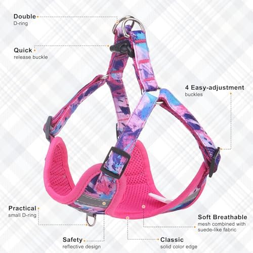 BEAUTYZOO Dog Harness Collar and Leash Set, No-Pull Step in Dog Harness - Image 3