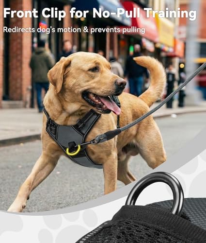Joytale No Pull Dog Harness for Large Dogs, Front Clip - Image 2