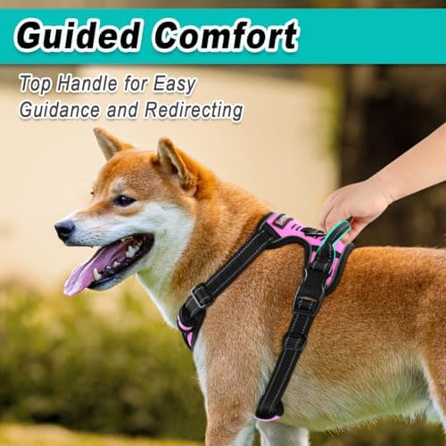 BARKBAY Dog Harness for Medium Sized Dog No Pull 2 Leash Clips Dog Vest - Image 4