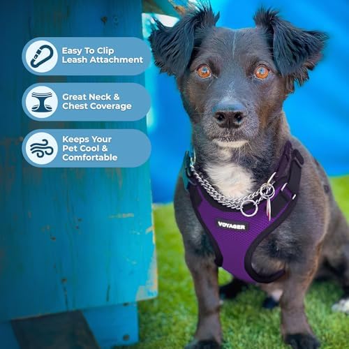 Voyager Step-in Lock Dog Harness - Image 3
