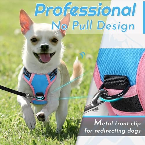 Eagloo Dog Harness for Small Dogs, No Pull Pet Vest - Image 3