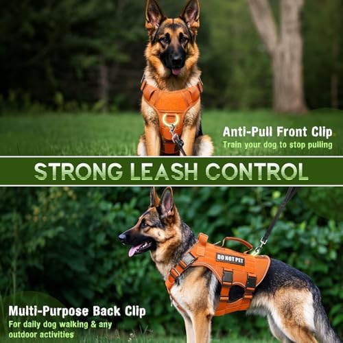 WINSEE Tactical Molle Vest Mesh Dog Harness - Image 3
