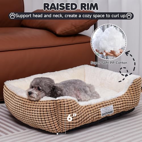 Small Dog Bed for Small Dogs, Cat Beds for Indoor Cats Washable, Rectangle Dog - Image 2