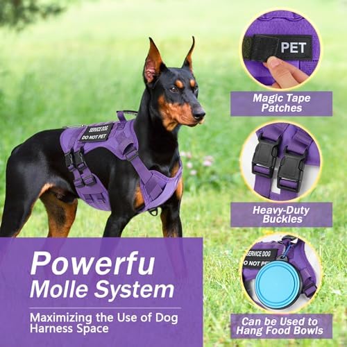 No Pull Tactical Dog Harness Small Sized Dog, Service Dog Vest - Image 3