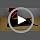 Lekereise Outdoor Elevated Dog Bed, Raised Dog Beds - Image 7
