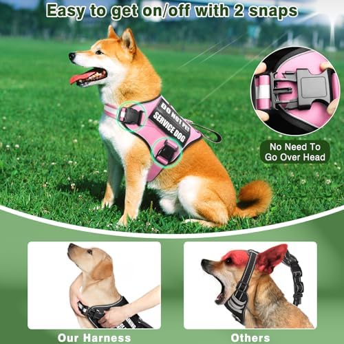 Service Dog Vest Harness and Leash Set+10 Patches, No Pull&Easy Walk Reflective - Image 6