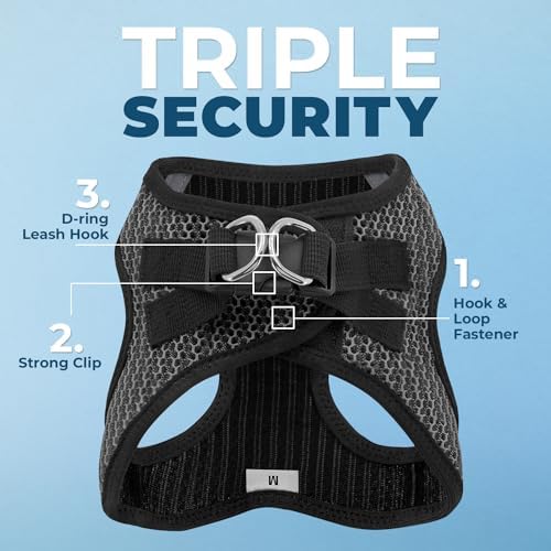 Best Pet Supplies Voyager Step-in Air Harness - Image 5