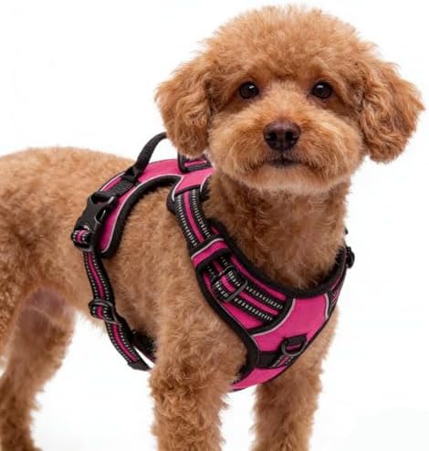 Hot Pink No-Pull Dog Harness by Unknown