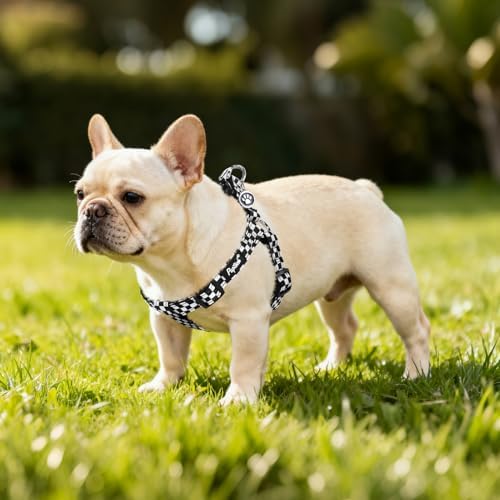 PUPTECK No Pull Dog Harness Small Sized Step-in Adjustable Puppy Vest - Image 6