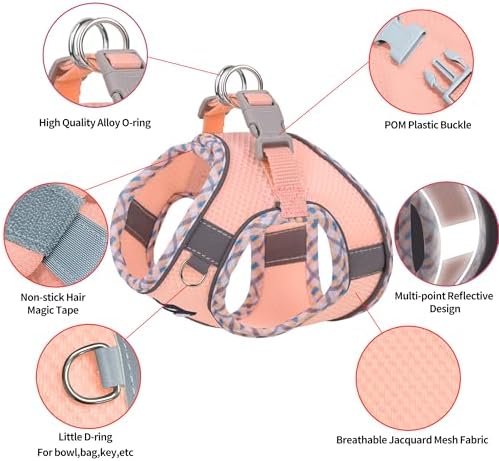 AIITLE Step in Dog Harness & Leash Set - Image 4