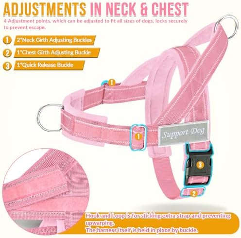 SlowTon No Pull Dog Harness and Leash Set - Image 5