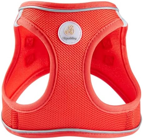 Hipubby Dog Harness and Leash Set, No Pull Soft Mesh Puppy Harness - Image 2