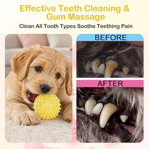 Puppy Toys, 6 Pack Dog Chew Toys, Teething Toys - Image 5