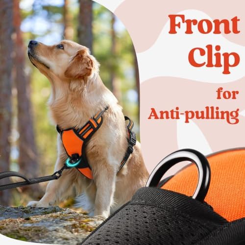 rabbitgoo Dog Harness for Large, Updated Easy On & Off - Image 6