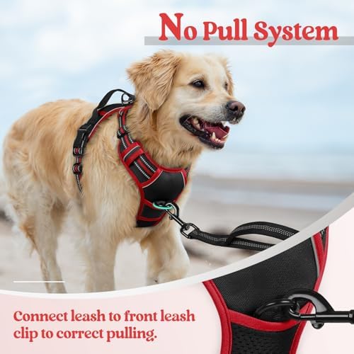 rabbitgoo Dog Harness, No Pull Medium Sized - Image 5