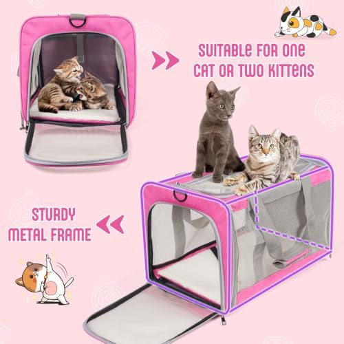 Pet Carrier for Large Cats of 20 Lbs, Collapsible Carrier Bag for Big Cat or 2 - Image 5
