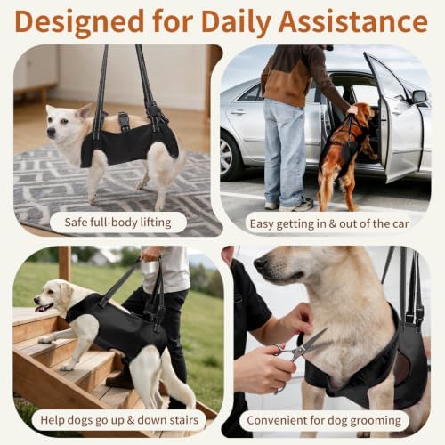 Mayerzon Full Body Dog Lift Harness, Support Senior & Disabled Dogs Walking - Image 6